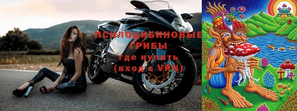 ПСИЛОЦИБИНОВЫЕ ГРИБЫ Балахна