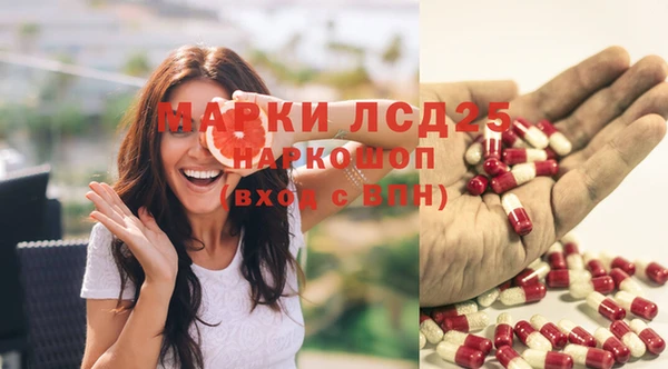 ПСИЛОЦИБИНОВЫЕ ГРИБЫ Балахна